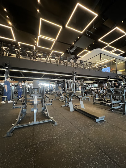 Arms Gym - Academia de musculação