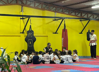 Impact Kung Fu Academy