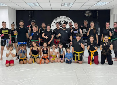 TNT Artes Marciais