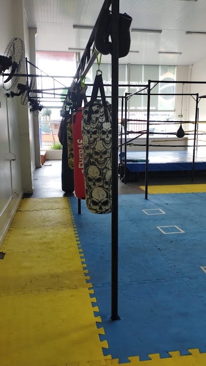 BrasaBoxing