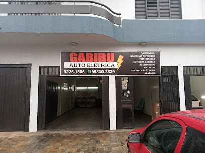 Gabiru Auto Elétrica